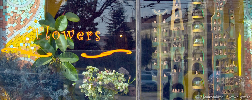 Flowers Tea House 1911